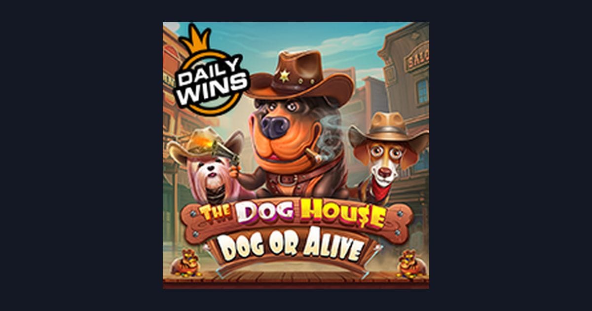 Cara Daftar & Login Gampang Main The Dog House Dog Or Alive Slot Seru
