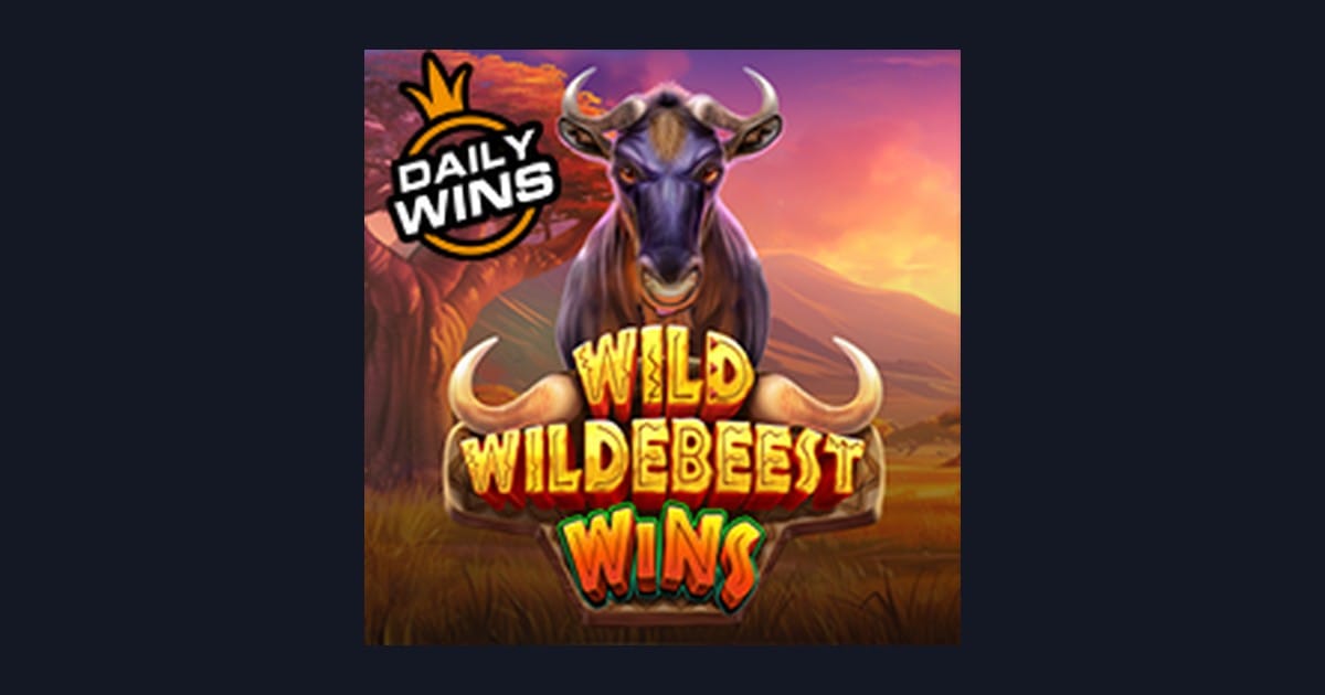 Mengenal Wild Wildebeest Wins: Fitur Menarik & Tingkat Volatilitasnya